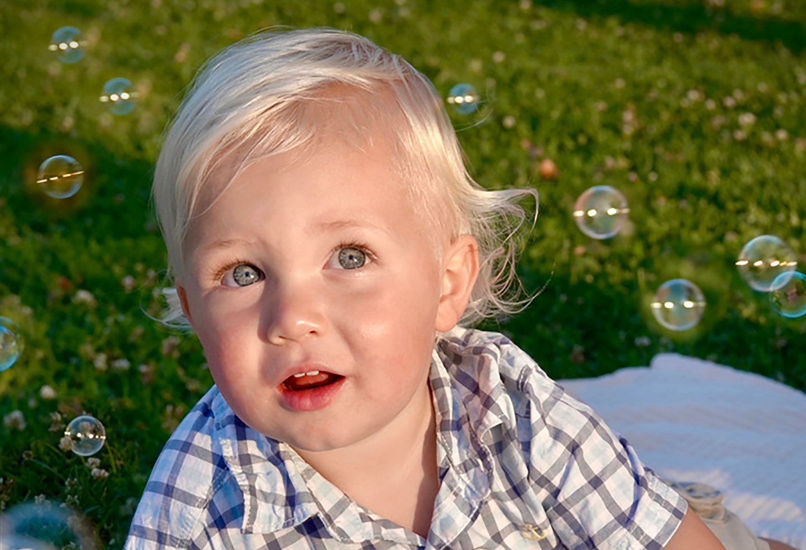 imagen de galería de 5 elementos