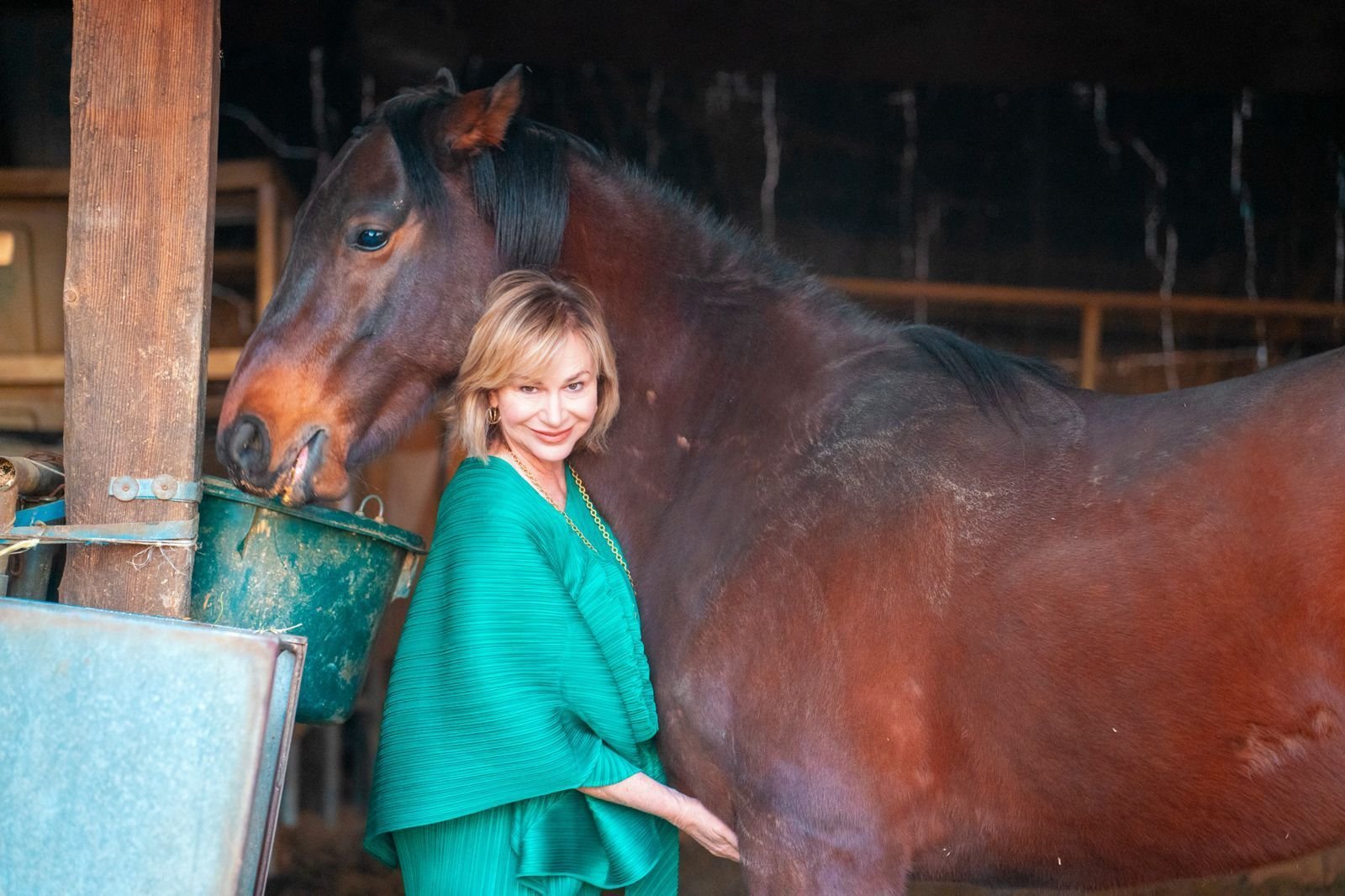 imagen de galería de 5 elementos