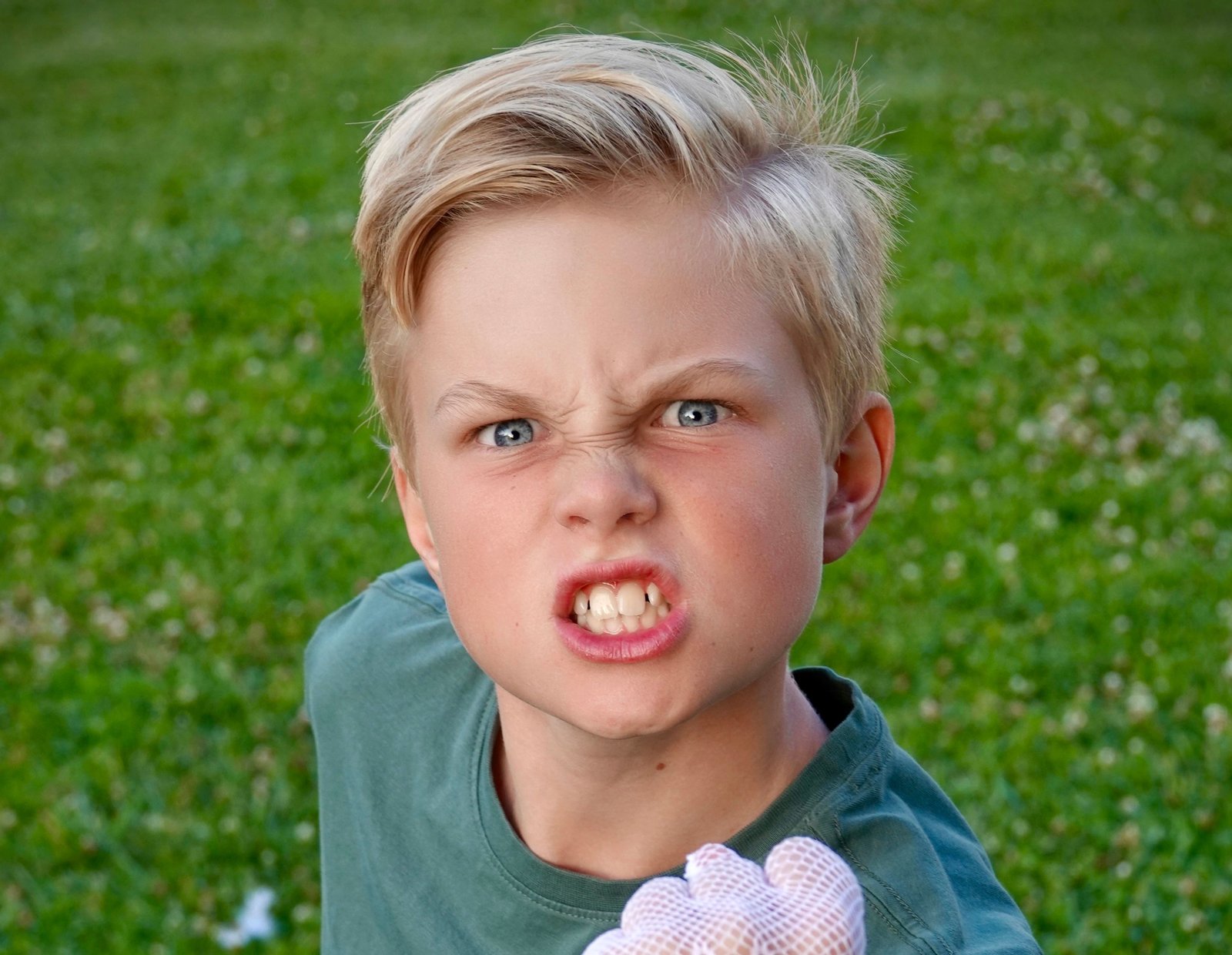 imagen de galería de 5 elementos