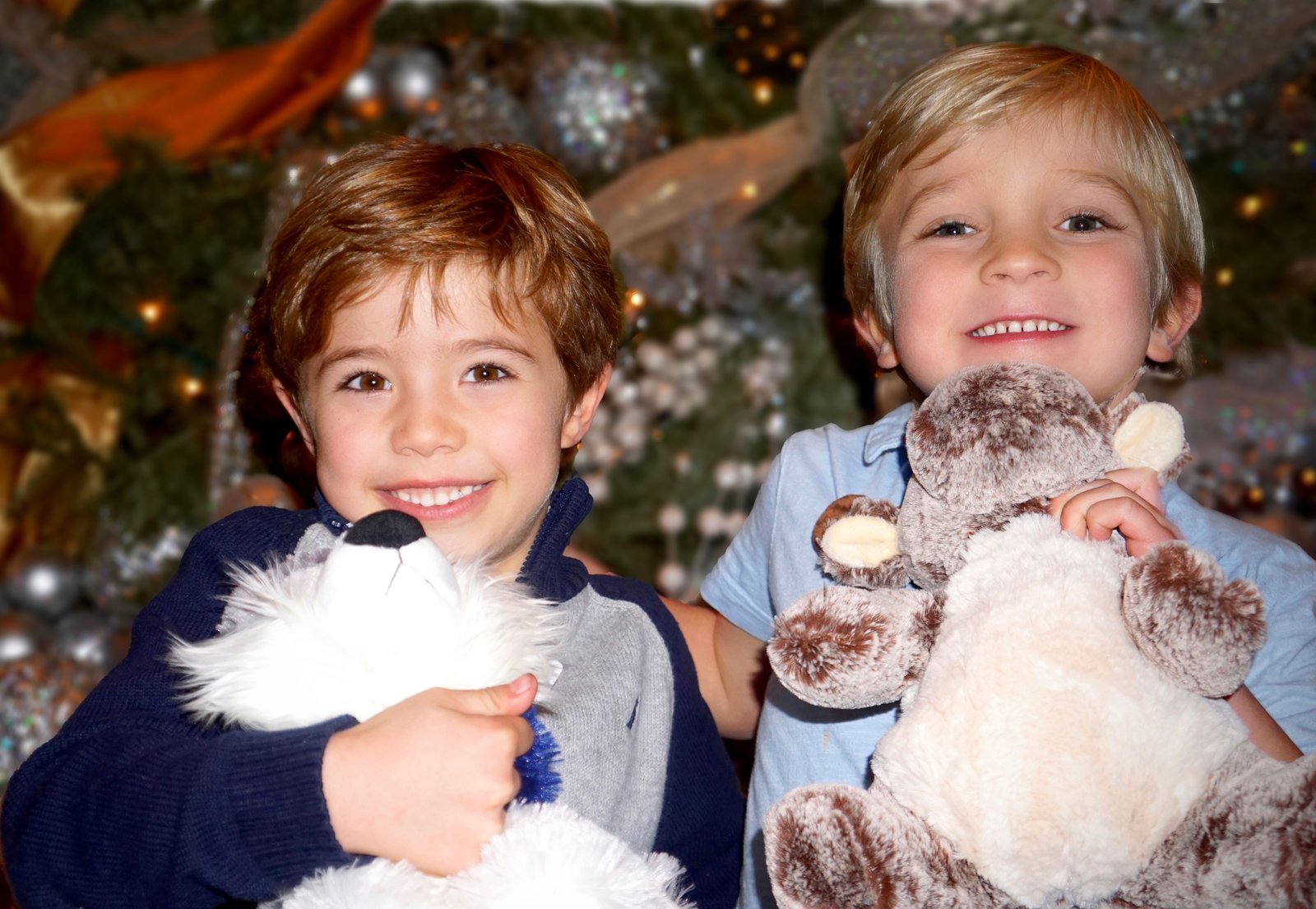 imagen de galeria de 5 elementos