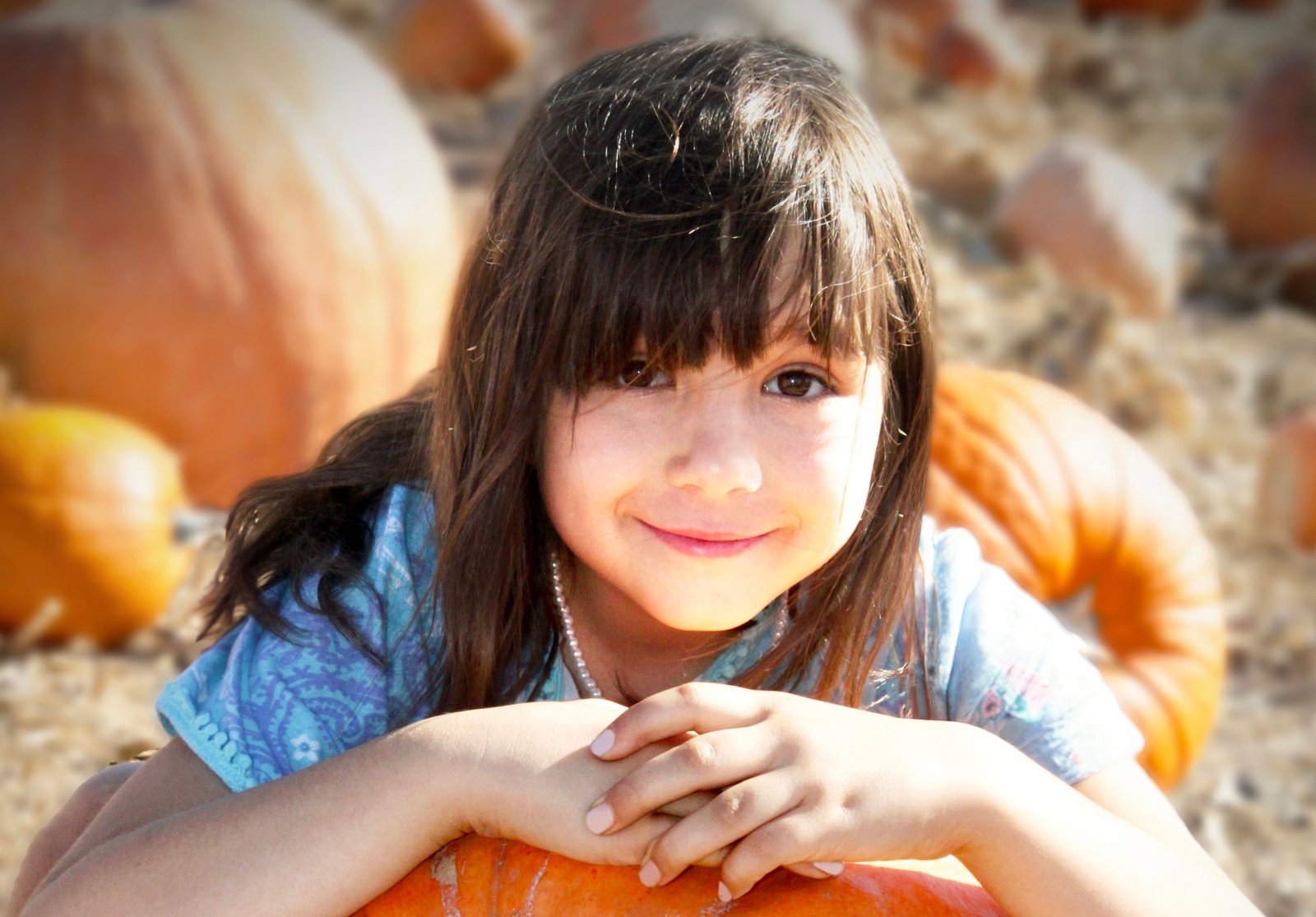 imagen de galería de 5 elementos