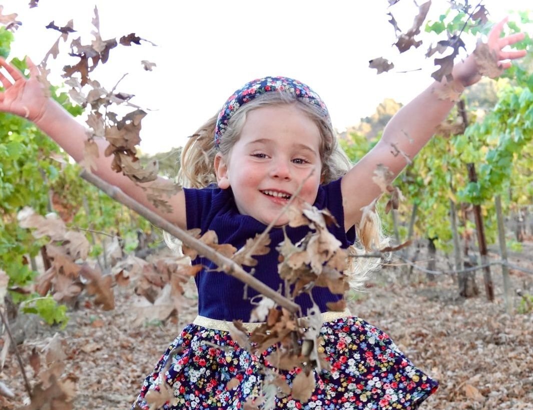 imagen de galería de 5 elementos